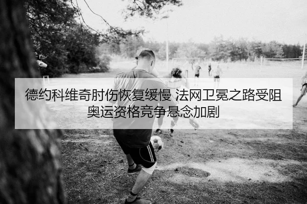 德约科维奇肘伤恢复缓慢 法网卫冕之路受阻 奥运资格竞争悬念加剧