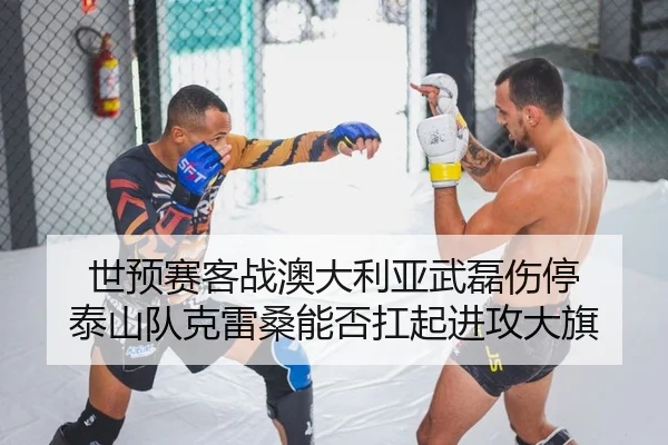 shi-yu-sai-ke-zhan-ao-da-li-ya-wu-lei-shang-ting-tai-shan-dui-ke-lei-sang-neng-fou-kang-qi-jin-gong-da-qi-2-115.jpg
